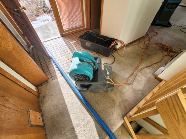 Best Flood restoration services  in Buckhannon, WV