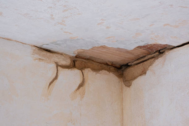 Best Flood damage cleanup  in Buckhannon, WV
