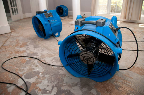 Best Water damage restoration process  in Buckhannon, WV