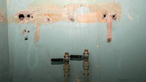 Best Commercial water damage restoration  in Buckhannon, WV