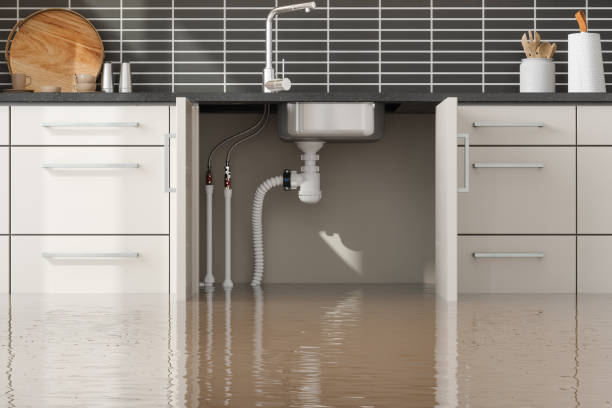 Best Flooded house restoration  in Buckhannon, WV