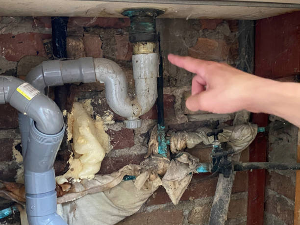 Best Water damage mitigation services  in Buckhannon, WV
