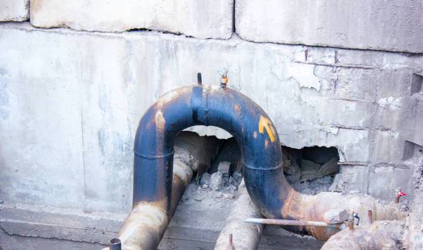 Best Flooded house restoration  in Buckhannon, WV