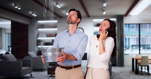 Best Basement water damage restoration  in Buckhannon, WV